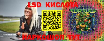 гидропоника Кузнецк