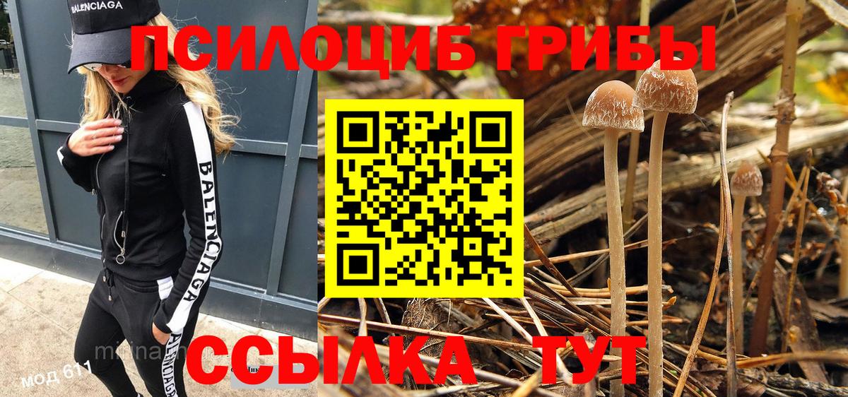 Галлюциногенные грибы мухоморы  Галлюциногенные грибы Psilocybine cubensis  Отрадное  Вход с VPN 